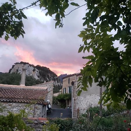 Le Chateau Camps-sur-l'Agly Dış mekan fotoğraf