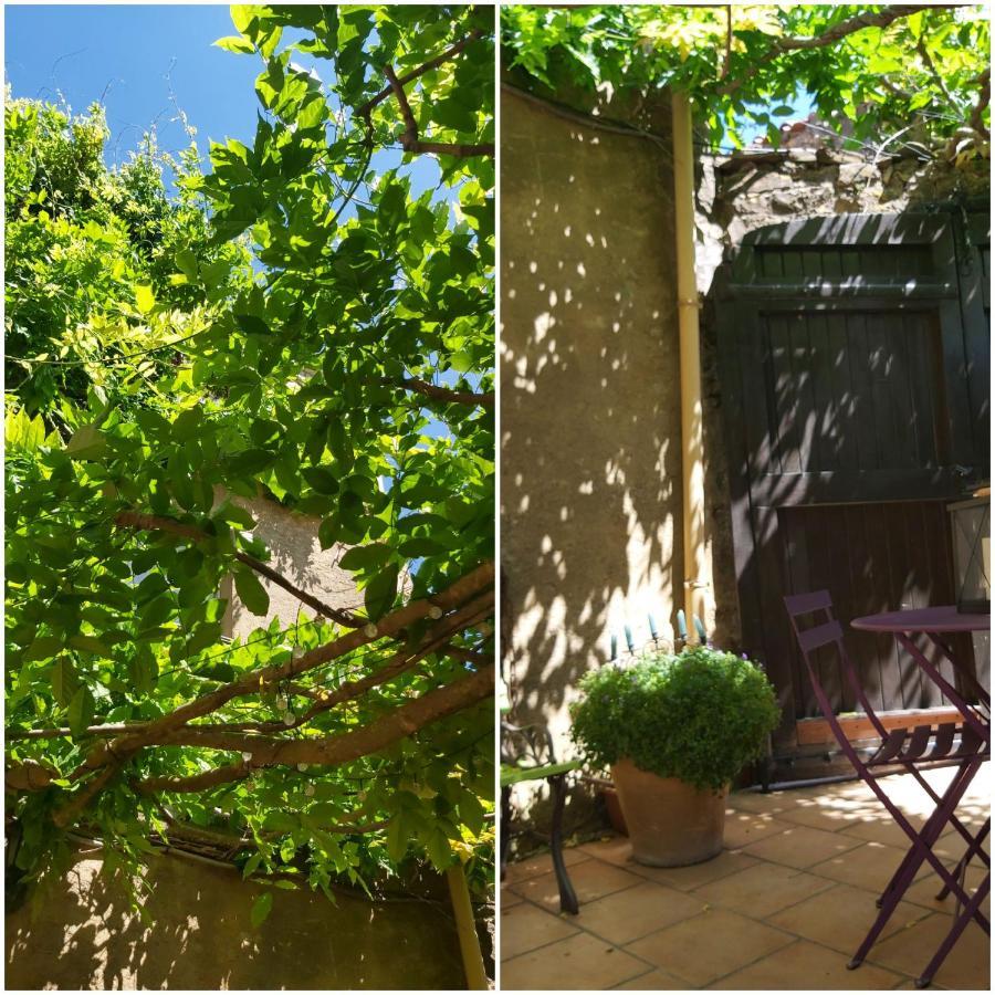 Le Chateau Camps-sur-l'Agly Dış mekan fotoğraf