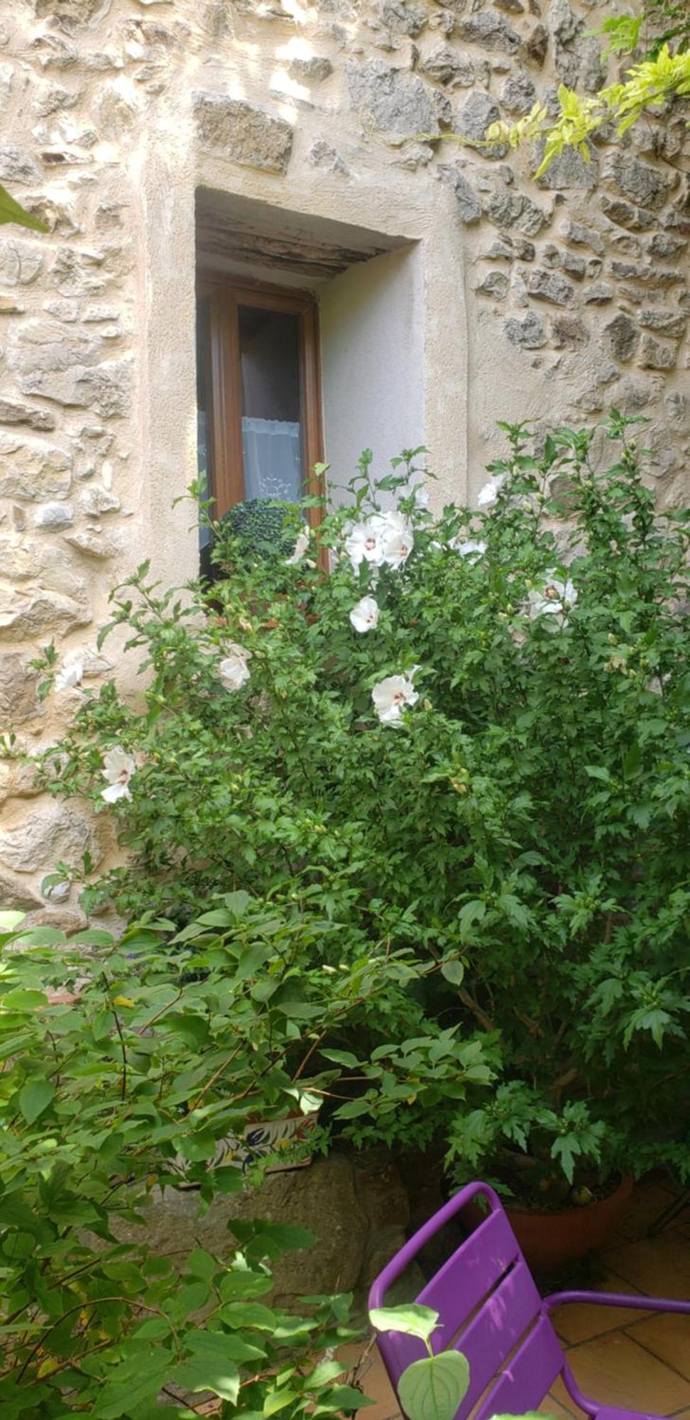 Le Chateau Camps-sur-l'Agly Dış mekan fotoğraf